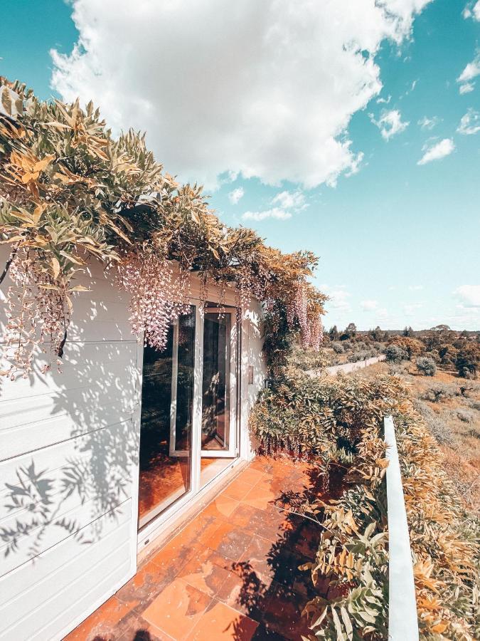 Vila Casa Da Aldeia Constância Exteriér fotografie